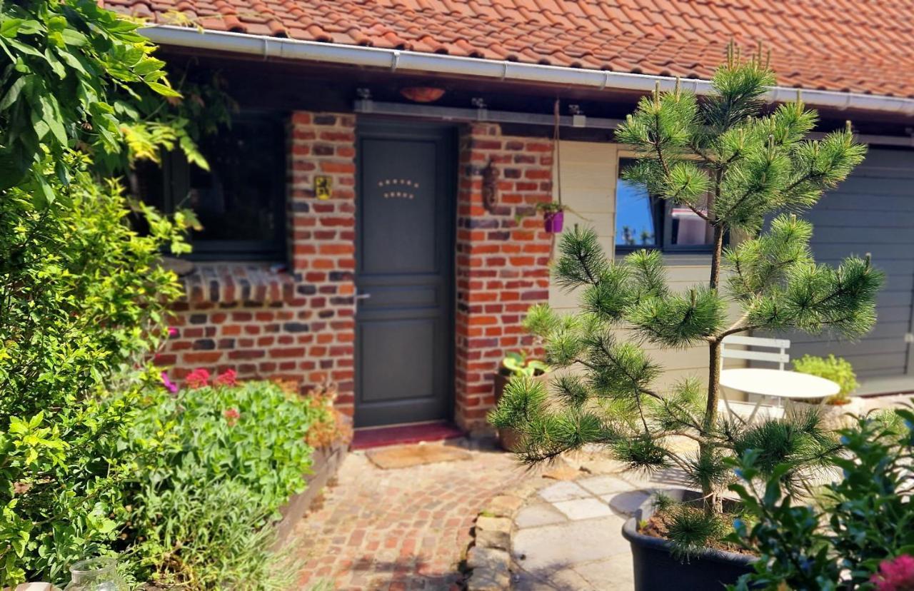 Studio Malow Arques  Exteriör bild